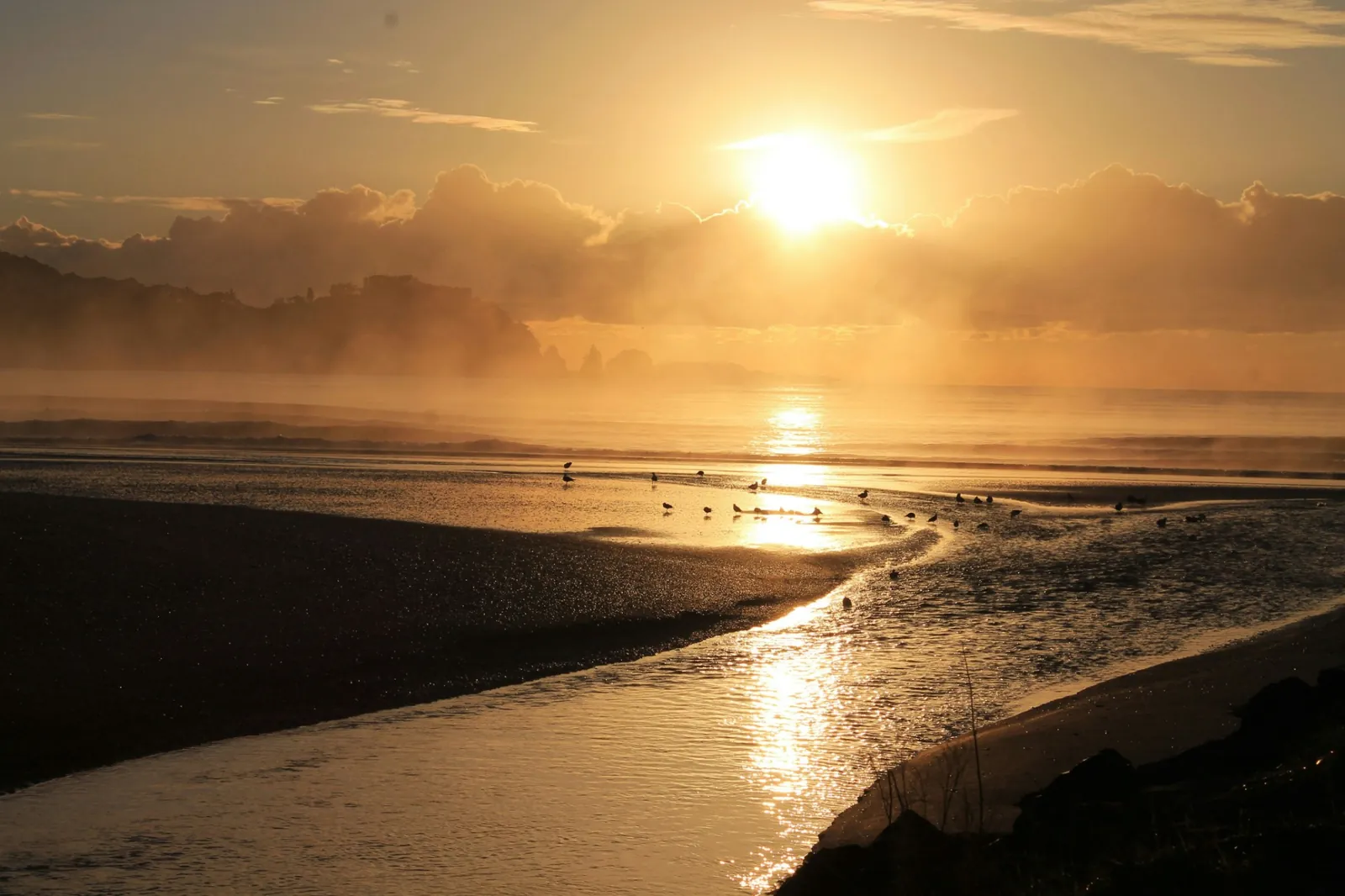 Golden sunrise over a misty beach, with birds gathered at the water's edge
